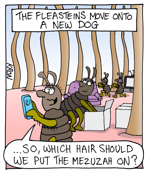 November-17-2013---web